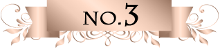 no.3